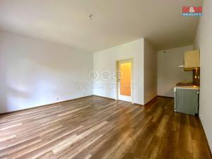 Pronájem bytu 1+kk, Lovosice, Osvoboditelů, 39 m2