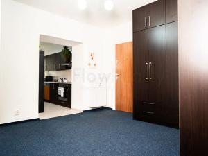 Prodej bytu 2+kk, Praha - Žižkov, Biskupcova, 72 m2