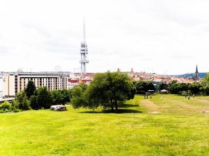 Prodej bytu 2+kk, Praha - Žižkov, Biskupcova, 72 m2