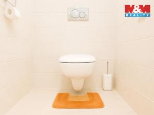 Prodej bytu 2+1, Praha - Záběhlice, Práčská, 53 m2