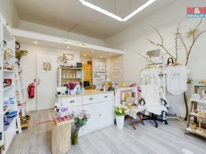 Pronájem obchodního prostoru, Plzeň - Jižní Předměstí, Klatovská třída, 23 m2