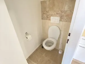 Pronájem rodinného domu, Holubice, Na Čapáku, 165 m2