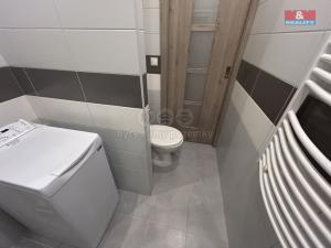 Pronájem bytu 1+1, Ústí nad Labem - Všebořice, 45 m2