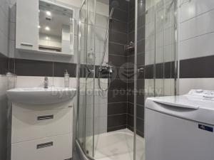 Pronájem bytu 1+1, Ústí nad Labem - Všebořice, 45 m2