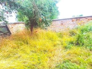 Prodej rodinného domu, Peruc, 90 m2