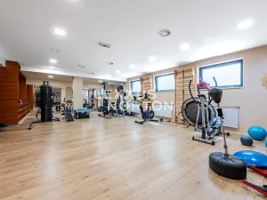 Pronájem bytu 2+kk, Praha - Břevnov, Radičova, 90 m2