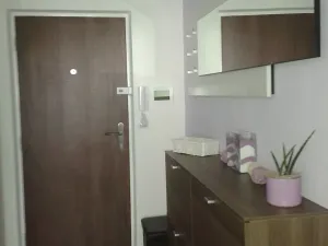 Pronájem bytu 2+kk, Brno, Svážná, 49 m2