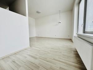 Pronájem bytu 1+kk, Brno, U Leskavy, 37 m2