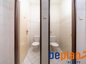 Prodej vícegeneračního domu, Merklín, 279 m2