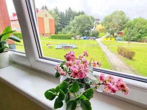 Pronájem bytu 2+1, Hořice na Šumavě, 57 m2