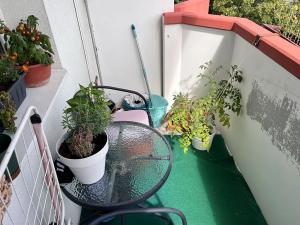 Pronájem bytu 2+1, Prostějov, Okružní, 56 m2