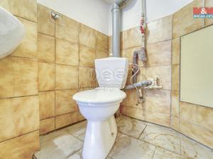 Pronájem obchodního prostoru, Kralovice, Masarykovo nám., 38 m2
