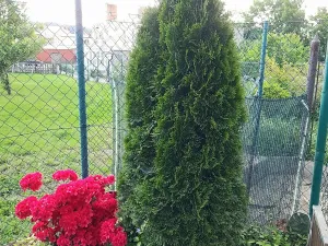 Prodej rodinného domu, Deštná, Táborská, 112 m2