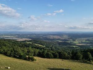 Prodej louky, Proseč pod Ještědem, 385 m2