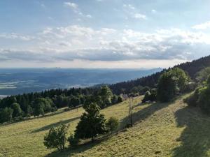 Prodej louky, Proseč pod Ještědem, 385 m2