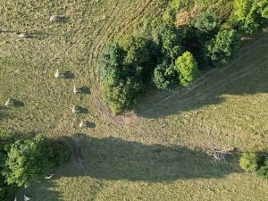 Prodej louky, Proseč pod Ještědem, 385 m2