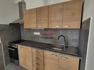 Pronájem bytu 2+kk, Planá nad Lužnicí, Průmyslová, 56 m2