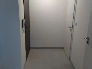 Prodej bytu 2+kk, Brno, Cornovova, 42 m2