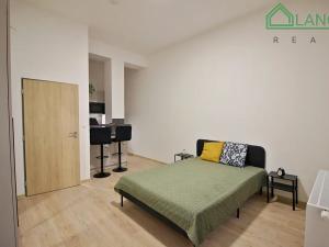 Pronájem bytu 1+kk, Brno, Koliště, 31 m2