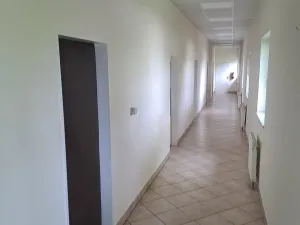 Pronájem kanceláře, Praha - Řepy, Třanovského, 34 m2