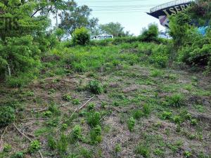 Prodej pozemku, Coxen Hole, Roatán, Honduras, 716 m2