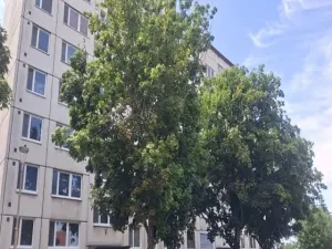 Prodej podílu bytu 2+1, Břeclav, Na Valtické, 44 m2