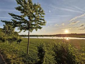 Prodej bytu 4+kk, Sokolnice, Zámecká, 126 m2
