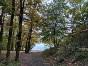 Prodej bytu 2+kk, Praha - Horní Měcholupy, Nad přehradou, 44 m2