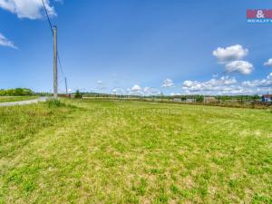 Prodej pozemku pro bydlení, Čížová - Borečnice, 938 m2