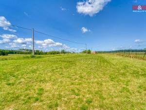 Prodej pozemku pro bydlení, Čížová - Borečnice, 938 m2