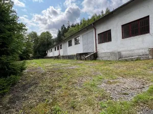 Prodej výrobních prostor, Karlovy Vary, K Přehradě, 8061 m2