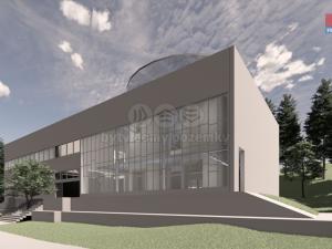 Prodej ubytování, Havlovice, 1236 m2
