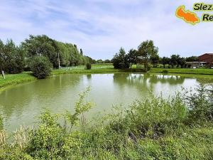Prodej rodinného domu, Vitiněves, 290 m2