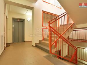Pronájem bytu 2+kk, Český Těšín, Svojsíkova, 57 m2