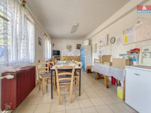 Pronájem výrobních prostor, Nepomuk - Dvorec, 378 m2