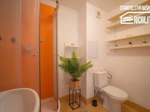 Prodej bytu 1+kk, Hradec Králové, Třebechovická, 35 m2
