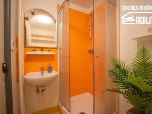 Prodej bytu 1+kk, Hradec Králové, Třebechovická, 35 m2
