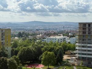 Prodej bytu 3+1, Plzeň, Toužimská, 74 m2