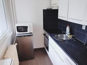 Pronájem bytu 1+kk, Hradec Králové - Slezské Předměstí, Třebechovická, 31 m2