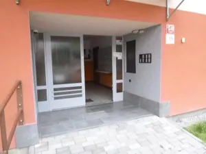 Dražba bytu 3+1, České Budějovice, V. Volfa, 74 m2