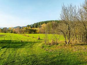 Prodej pozemku pro bydlení, Bušanovice, 40045 m2