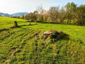 Prodej pozemku pro bydlení, Bušanovice, 40045 m2