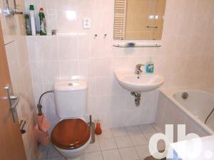 Pronájem bytu 1+1, Karlovy Vary, Nejdlova, 37 m2
