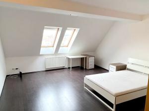 Pronájem bytu 4+kk, Brno, Drobného, 125 m2