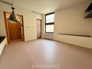 Pronájem bytu 1+kk, Brno, Peroutková, 25 m2