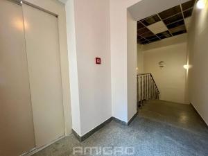 Pronájem bytu 1+kk, Brno, Peroutková, 25 m2