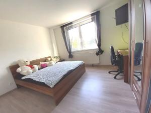 Pronájem bytu 4+kk, Brno, Běly Pažoutové, 90 m2