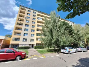 Pronájem bytu 1+1, Brno, Fleischnerova, 40 m2