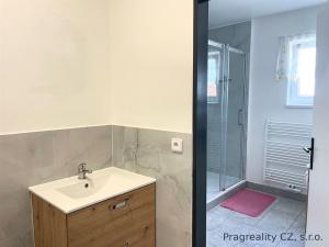 Pronájem bytu 1+kk, Roztoky, 10 m2
