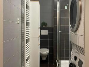 Pronájem bytu 1+kk, České Budějovice, Otakarova, 26 m2